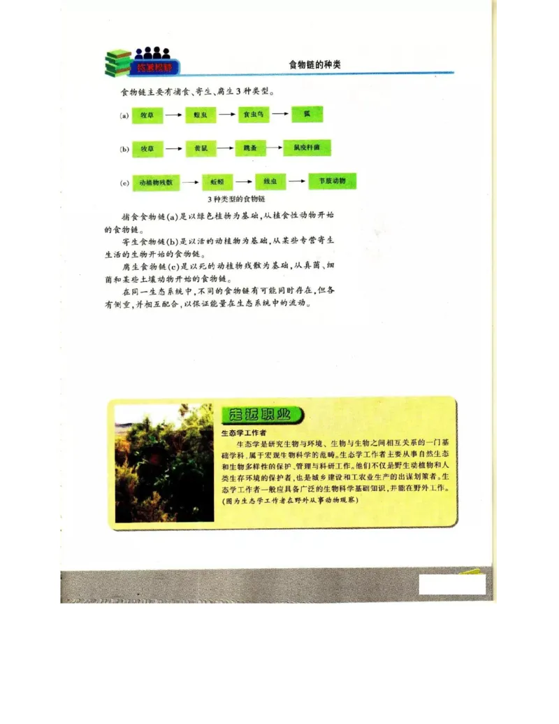 苏教版高中生物必修3《稳态与环境》电子课本_4-教培资料-26年最新资料-同步更新_初中高中教资_03科三专项（进去保存报考的学科即可）_112025高中科目（全）电子教材