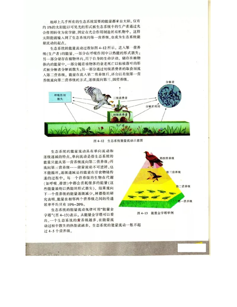 苏教版高中生物必修3《稳态与环境》电子课本_4-教培资料-26年最新资料-同步更新_初中高中教资_03科三专项（进去保存报考的学科即可）_112025高中科目（全）电子教材