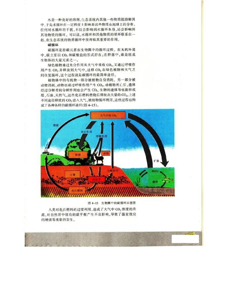 苏教版高中生物必修3《稳态与环境》电子课本_4-教培资料-26年最新资料-同步更新_初中高中教资_03科三专项（进去保存报考的学科即可）_112025高中科目（全）电子教材