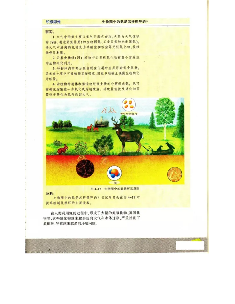 苏教版高中生物必修3《稳态与环境》电子课本_4-教培资料-26年最新资料-同步更新_初中高中教资_03科三专项（进去保存报考的学科即可）_112025高中科目（全）电子教材