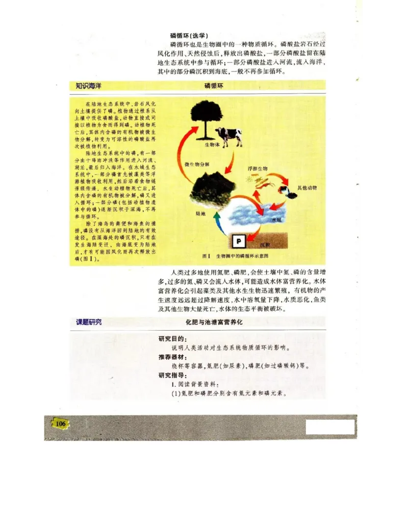苏教版高中生物必修3《稳态与环境》电子课本_4-教培资料-26年最新资料-同步更新_初中高中教资_03科三专项（进去保存报考的学科即可）_112025高中科目（全）电子教材
