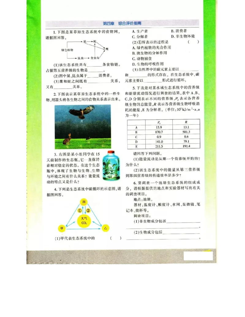 苏教版高中生物必修3《稳态与环境》电子课本_4-教培资料-26年最新资料-同步更新_初中高中教资_03科三专项（进去保存报考的学科即可）_112025高中科目（全）电子教材