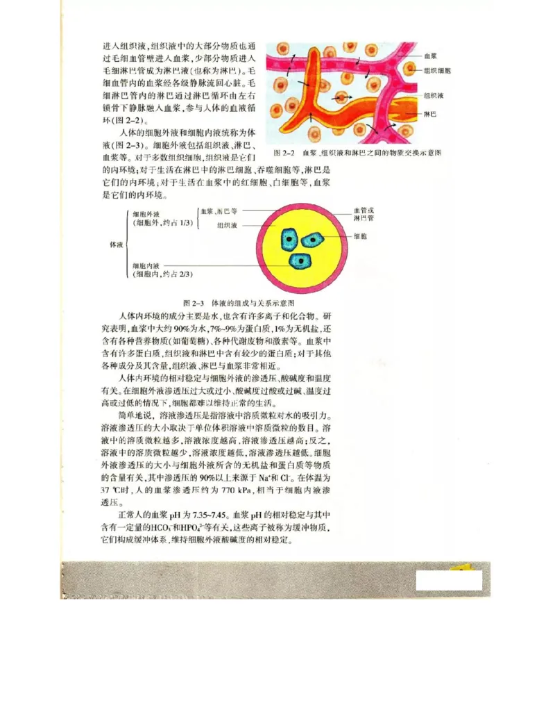 苏教版高中生物必修3《稳态与环境》电子课本_4-教培资料-26年最新资料-同步更新_初中高中教资_03科三专项（进去保存报考的学科即可）_112025高中科目（全）电子教材