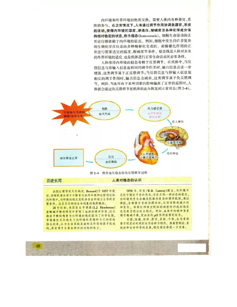 苏教版高中生物必修3《稳态与环境》电子课本_4-教培资料-26年最新资料-同步更新_初中高中教资_03科三专项（进去保存报考的学科即可）_112025高中科目（全）电子教材