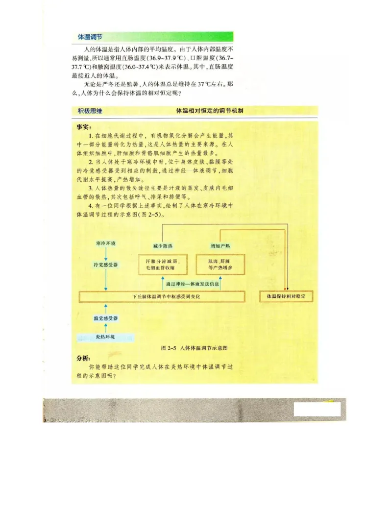 苏教版高中生物必修3《稳态与环境》电子课本_4-教培资料-26年最新资料-同步更新_初中高中教资_03科三专项（进去保存报考的学科即可）_112025高中科目（全）电子教材