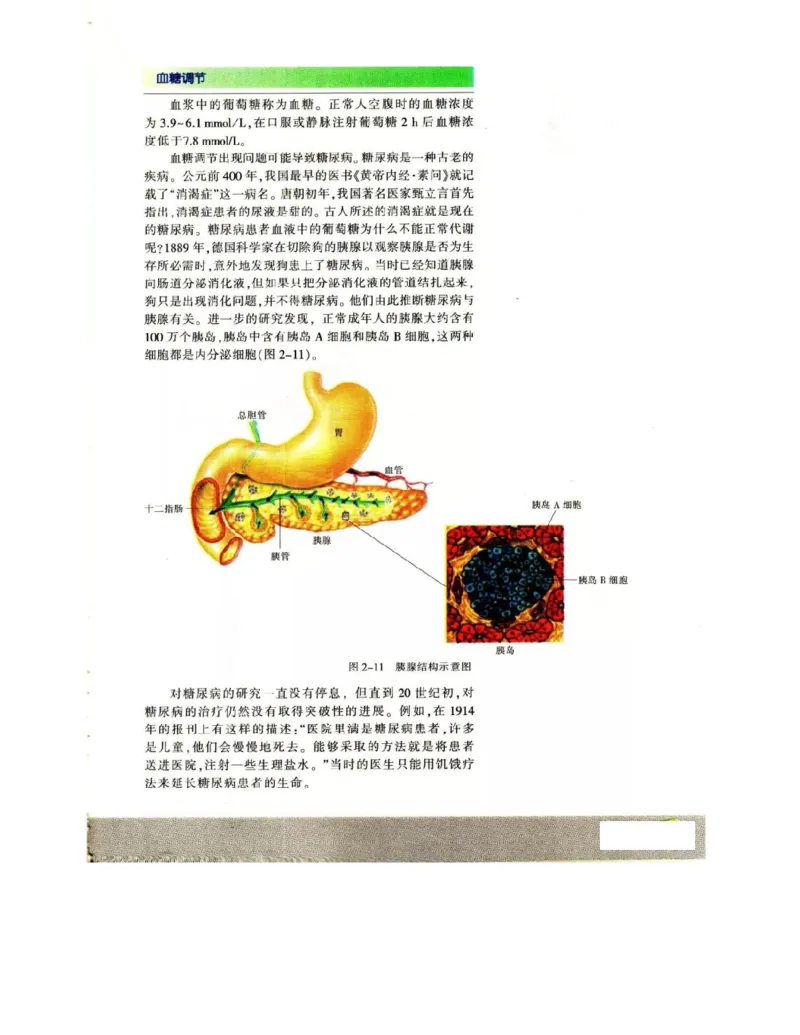 苏教版高中生物必修3《稳态与环境》电子课本_4-教培资料-26年最新资料-同步更新_初中高中教资_03科三专项（进去保存报考的学科即可）_112025高中科目（全）电子教材