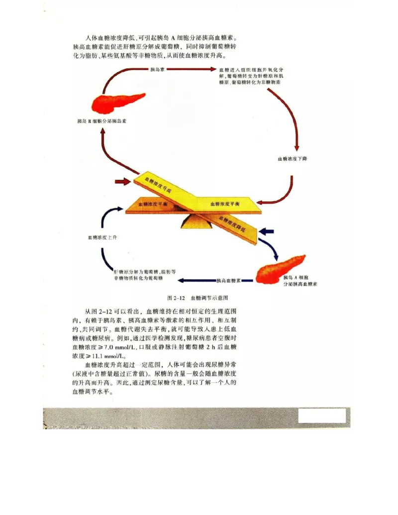 苏教版高中生物必修3《稳态与环境》电子课本_4-教培资料-26年最新资料-同步更新_初中高中教资_03科三专项（进去保存报考的学科即可）_112025高中科目（全）电子教材