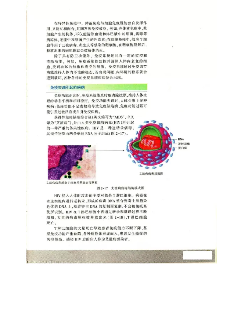 苏教版高中生物必修3《稳态与环境》电子课本_4-教培资料-26年最新资料-同步更新_初中高中教资_03科三专项（进去保存报考的学科即可）_112025高中科目（全）电子教材