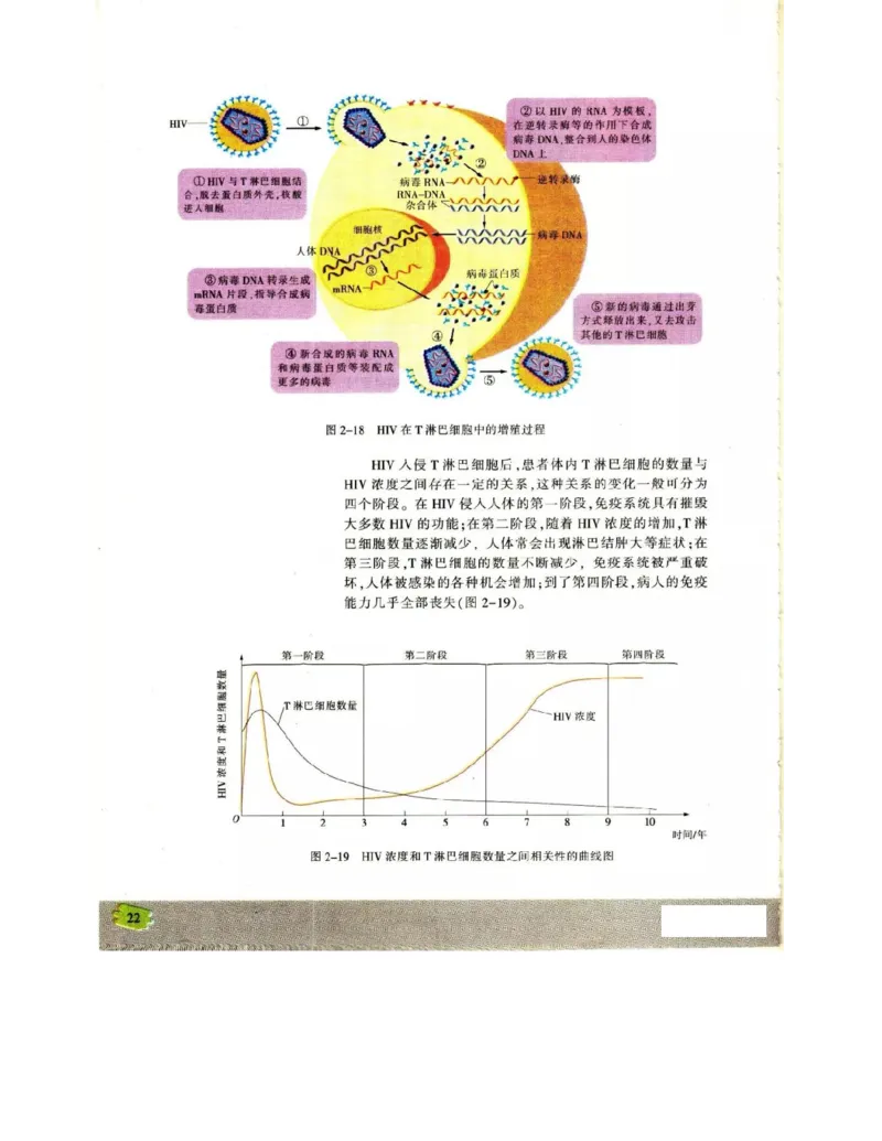苏教版高中生物必修3《稳态与环境》电子课本_4-教培资料-26年最新资料-同步更新_初中高中教资_03科三专项（进去保存报考的学科即可）_112025高中科目（全）电子教材
