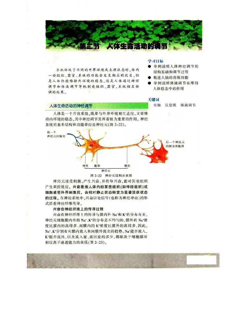 苏教版高中生物必修3《稳态与环境》电子课本_4-教培资料-26年最新资料-同步更新_初中高中教资_03科三专项（进去保存报考的学科即可）_112025高中科目（全）电子教材