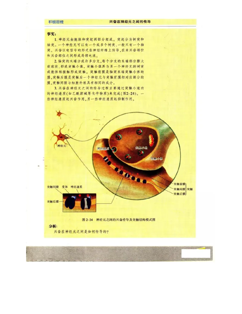 苏教版高中生物必修3《稳态与环境》电子课本_4-教培资料-26年最新资料-同步更新_初中高中教资_03科三专项（进去保存报考的学科即可）_112025高中科目（全）电子教材