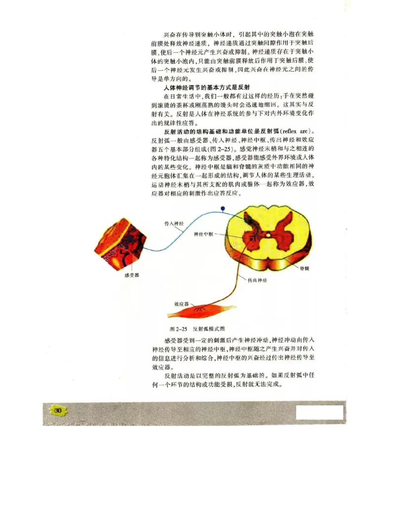 苏教版高中生物必修3《稳态与环境》电子课本_4-教培资料-26年最新资料-同步更新_初中高中教资_03科三专项（进去保存报考的学科即可）_112025高中科目（全）电子教材