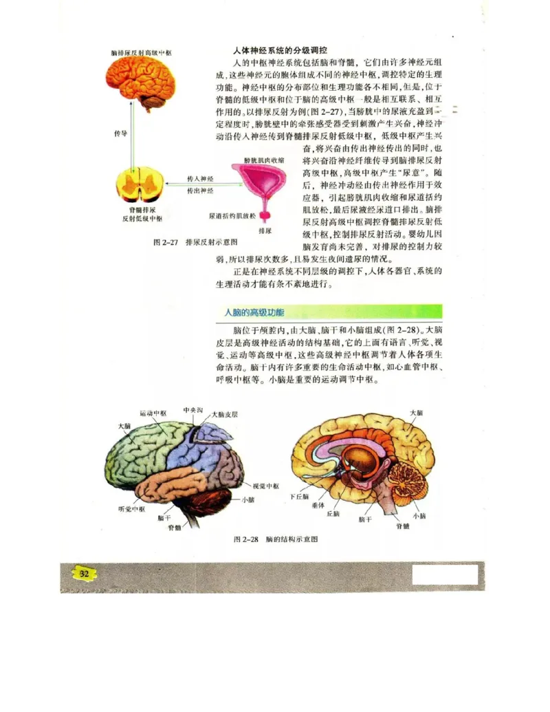苏教版高中生物必修3《稳态与环境》电子课本_4-教培资料-26年最新资料-同步更新_初中高中教资_03科三专项（进去保存报考的学科即可）_112025高中科目（全）电子教材