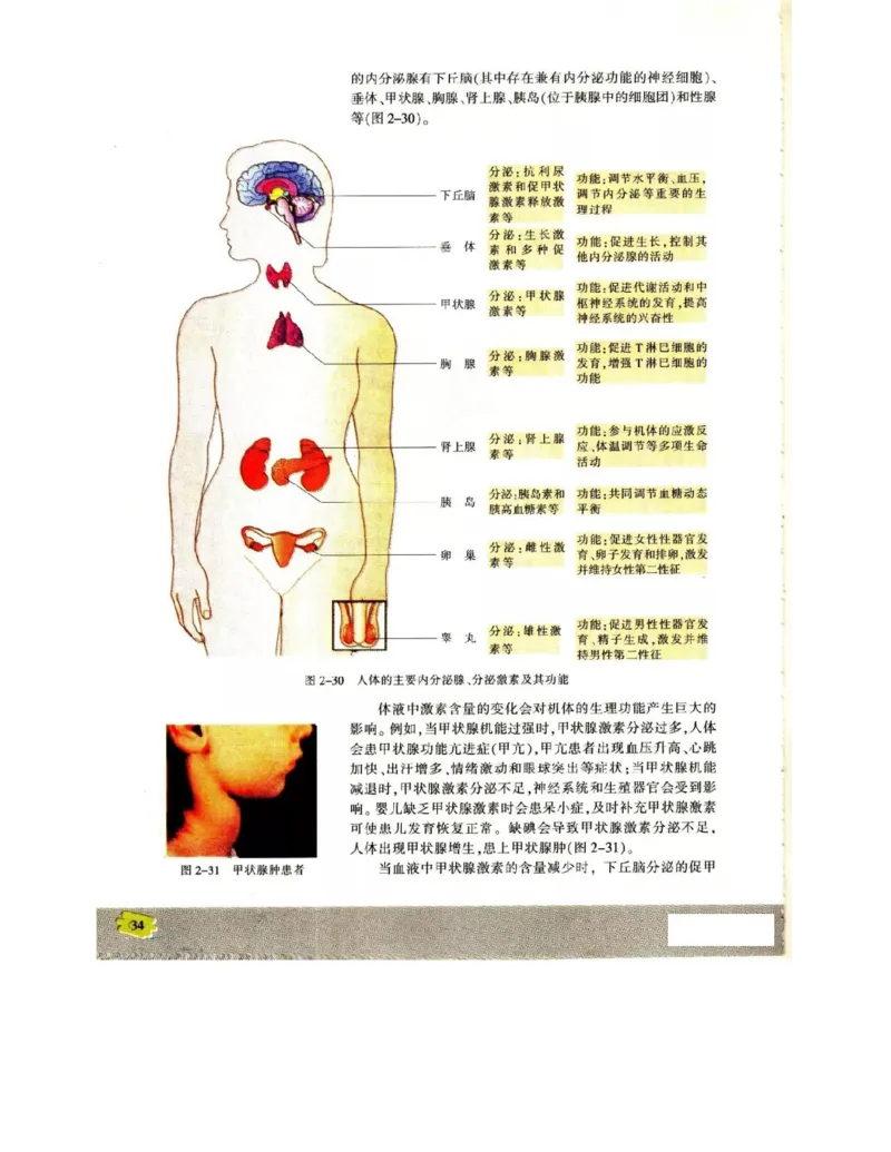 苏教版高中生物必修3《稳态与环境》电子课本_4-教培资料-26年最新资料-同步更新_初中高中教资_03科三专项（进去保存报考的学科即可）_112025高中科目（全）电子教材