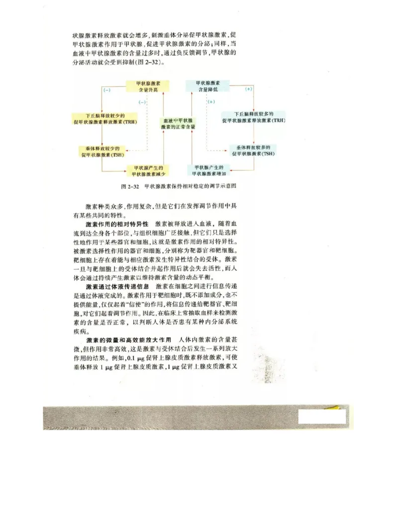 苏教版高中生物必修3《稳态与环境》电子课本_4-教培资料-26年最新资料-同步更新_初中高中教资_03科三专项（进去保存报考的学科即可）_112025高中科目（全）电子教材
