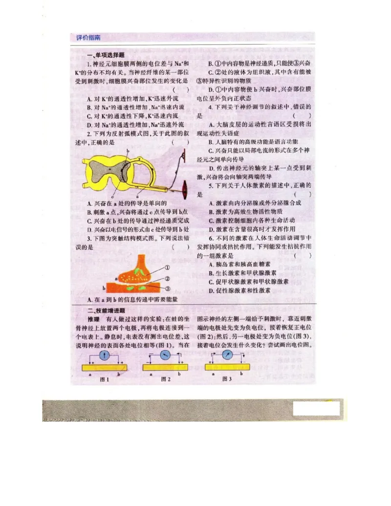 苏教版高中生物必修3《稳态与环境》电子课本_4-教培资料-26年最新资料-同步更新_初中高中教资_03科三专项（进去保存报考的学科即可）_112025高中科目（全）电子教材