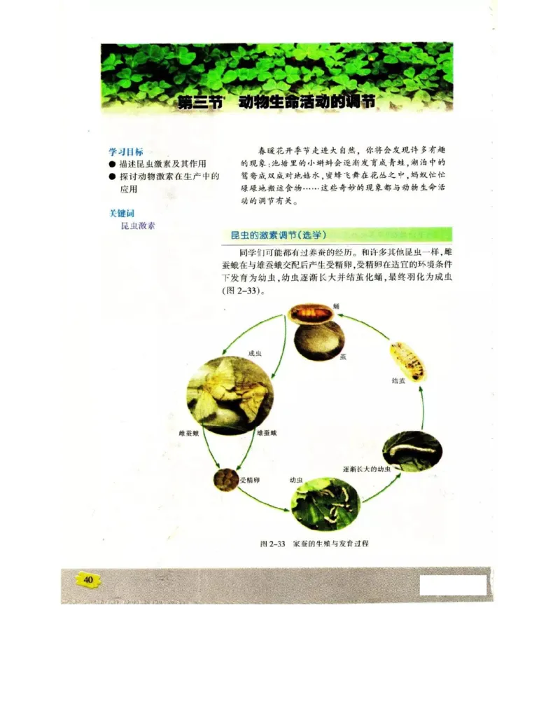 苏教版高中生物必修3《稳态与环境》电子课本_4-教培资料-26年最新资料-同步更新_初中高中教资_03科三专项（进去保存报考的学科即可）_112025高中科目（全）电子教材