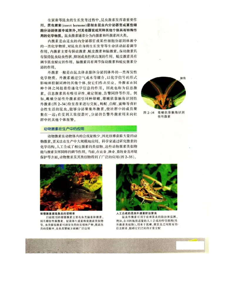 苏教版高中生物必修3《稳态与环境》电子课本_4-教培资料-26年最新资料-同步更新_初中高中教资_03科三专项（进去保存报考的学科即可）_112025高中科目（全）电子教材