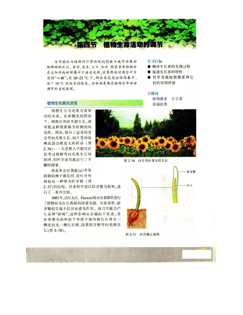 苏教版高中生物必修3《稳态与环境》电子课本_4-教培资料-26年最新资料-同步更新_初中高中教资_03科三专项（进去保存报考的学科即可）_112025高中科目（全）电子教材
