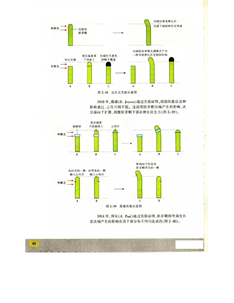 苏教版高中生物必修3《稳态与环境》电子课本_4-教培资料-26年最新资料-同步更新_初中高中教资_03科三专项（进去保存报考的学科即可）_112025高中科目（全）电子教材