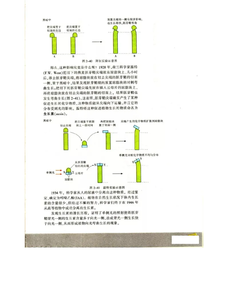 苏教版高中生物必修3《稳态与环境》电子课本_4-教培资料-26年最新资料-同步更新_初中高中教资_03科三专项（进去保存报考的学科即可）_112025高中科目（全）电子教材