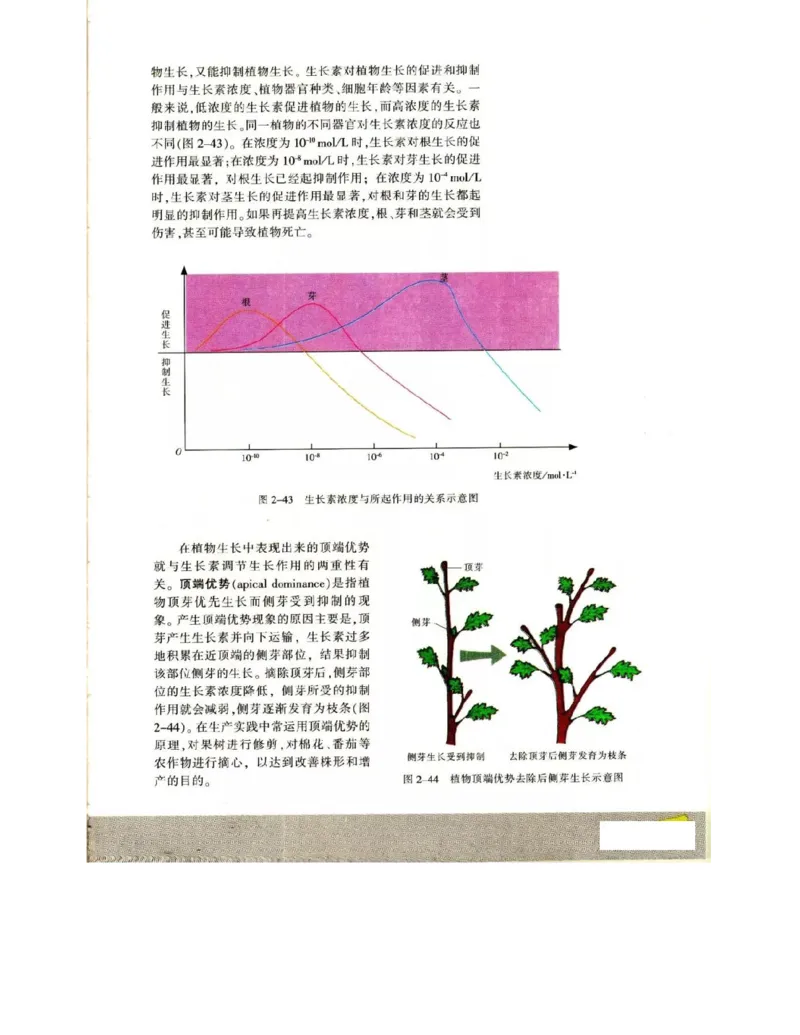 苏教版高中生物必修3《稳态与环境》电子课本_4-教培资料-26年最新资料-同步更新_初中高中教资_03科三专项（进去保存报考的学科即可）_112025高中科目（全）电子教材