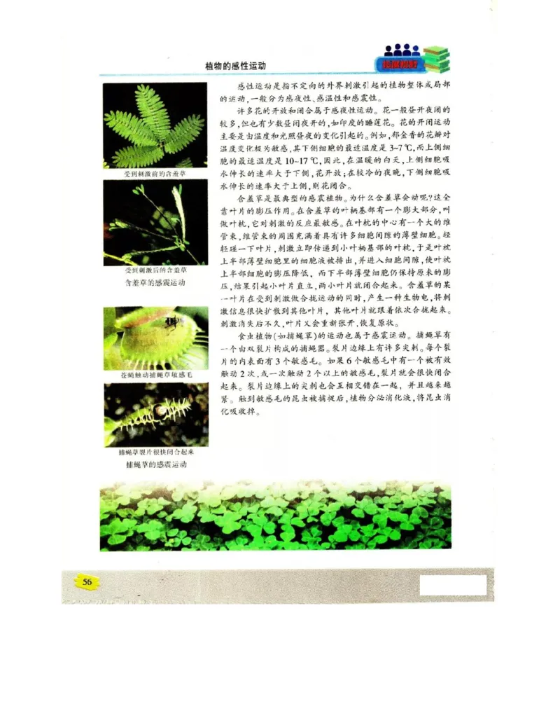 苏教版高中生物必修3《稳态与环境》电子课本_4-教培资料-26年最新资料-同步更新_初中高中教资_03科三专项（进去保存报考的学科即可）_112025高中科目（全）电子教材