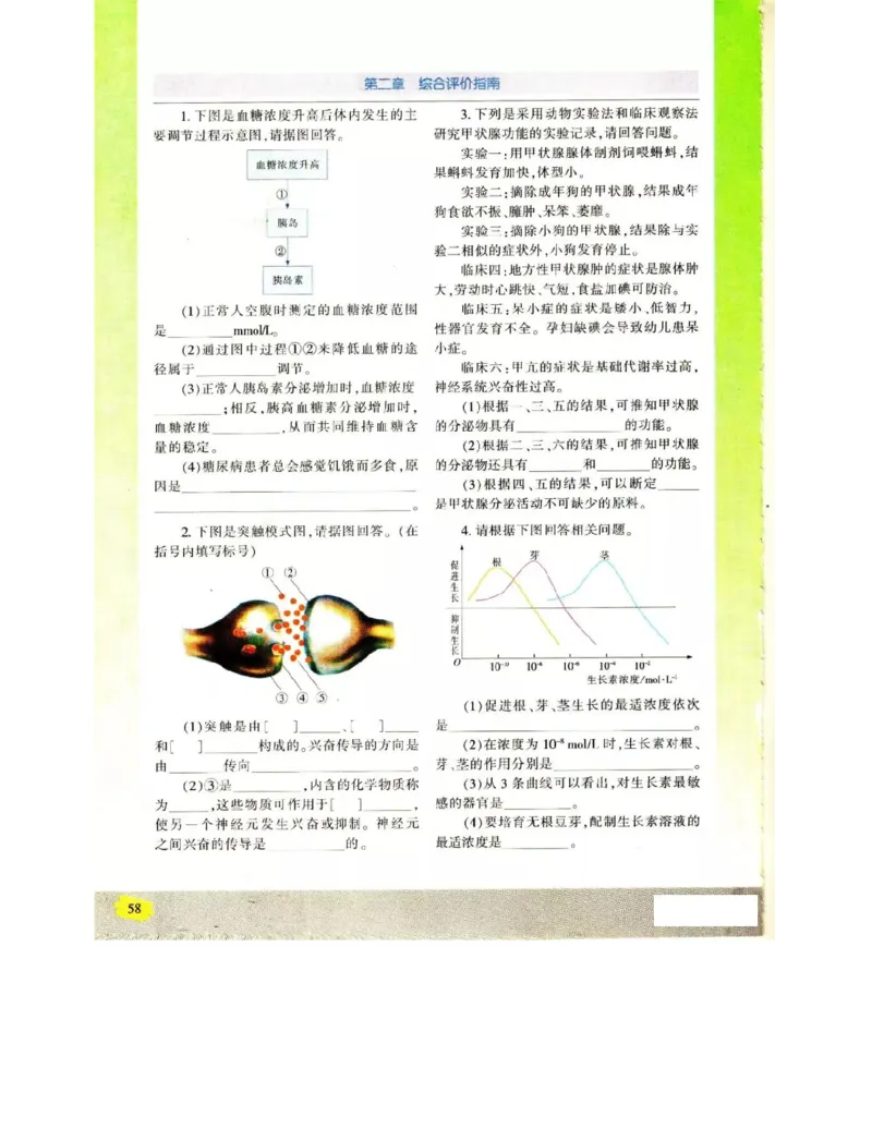 苏教版高中生物必修3《稳态与环境》电子课本_4-教培资料-26年最新资料-同步更新_初中高中教资_03科三专项（进去保存报考的学科即可）_112025高中科目（全）电子教材
