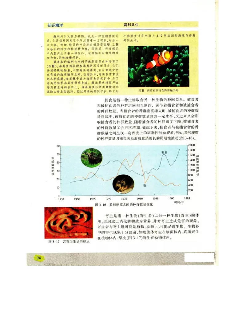 苏教版高中生物必修3《稳态与环境》电子课本_4-教培资料-26年最新资料-同步更新_初中高中教资_03科三专项（进去保存报考的学科即可）_112025高中科目（全）电子教材
