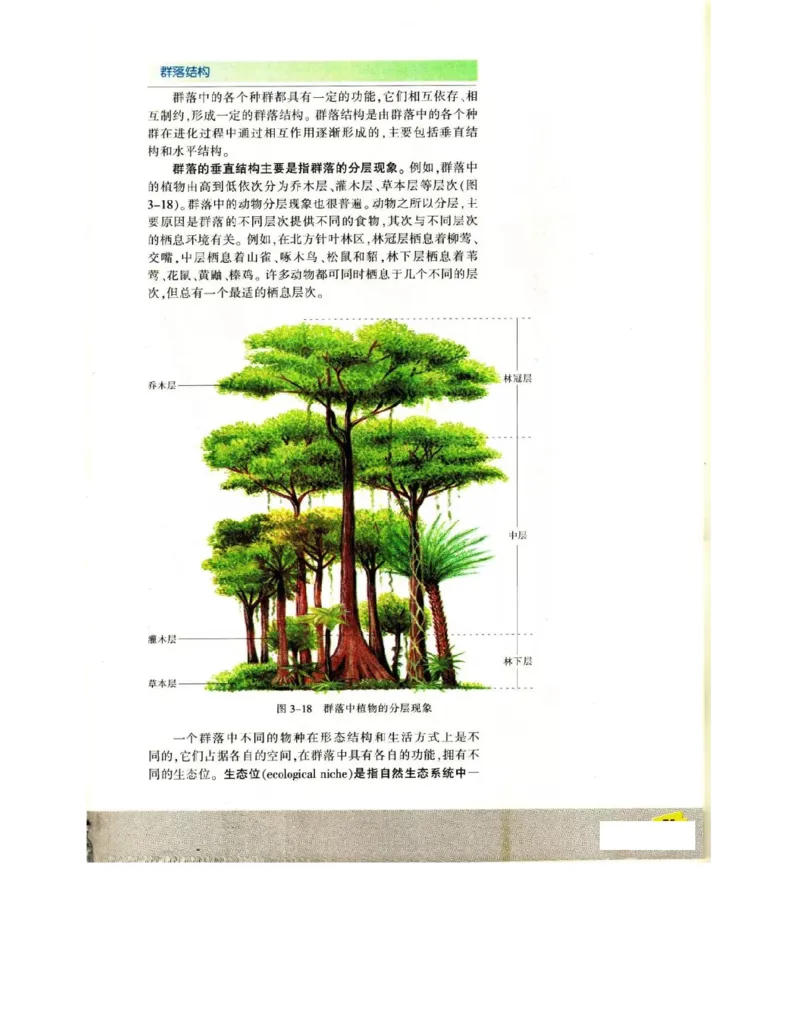 苏教版高中生物必修3《稳态与环境》电子课本_4-教培资料-26年最新资料-同步更新_初中高中教资_03科三专项（进去保存报考的学科即可）_112025高中科目（全）电子教材