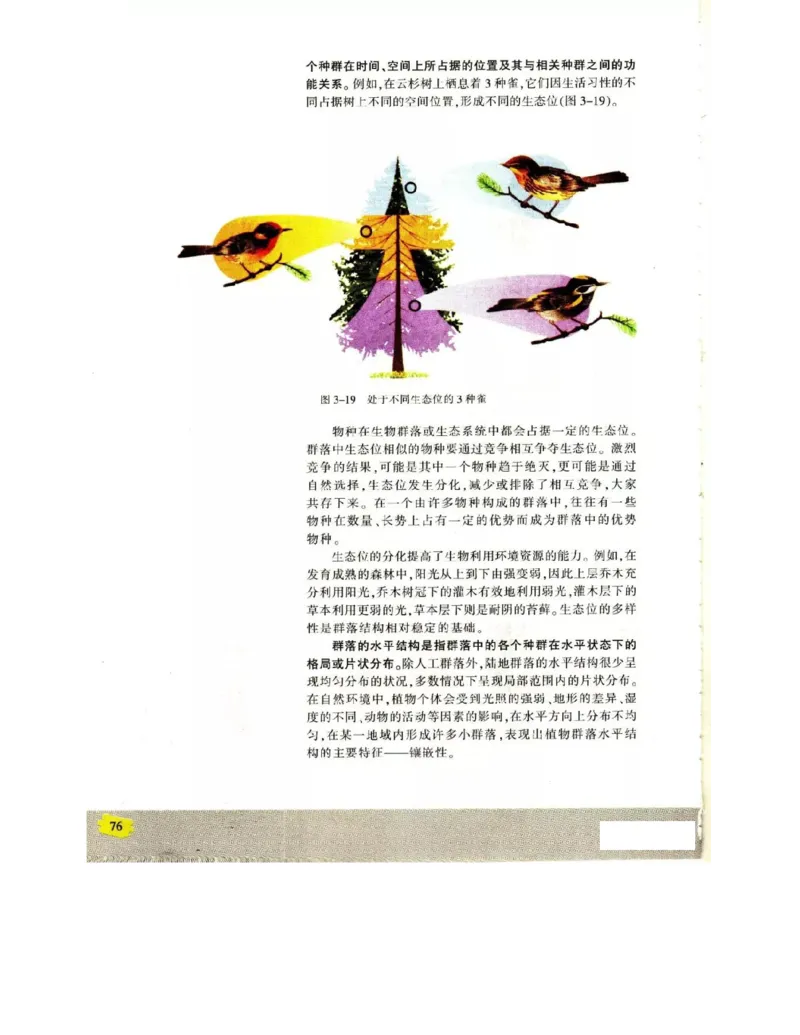 苏教版高中生物必修3《稳态与环境》电子课本_4-教培资料-26年最新资料-同步更新_初中高中教资_03科三专项（进去保存报考的学科即可）_112025高中科目（全）电子教材