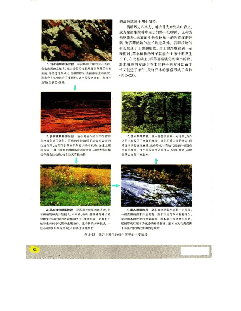 苏教版高中生物必修3《稳态与环境》电子课本_4-教培资料-26年最新资料-同步更新_初中高中教资_03科三专项（进去保存报考的学科即可）_112025高中科目（全）电子教材