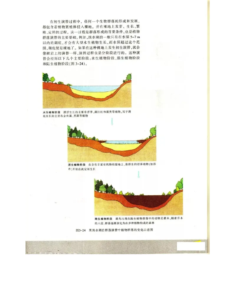 苏教版高中生物必修3《稳态与环境》电子课本_4-教培资料-26年最新资料-同步更新_初中高中教资_03科三专项（进去保存报考的学科即可）_112025高中科目（全）电子教材
