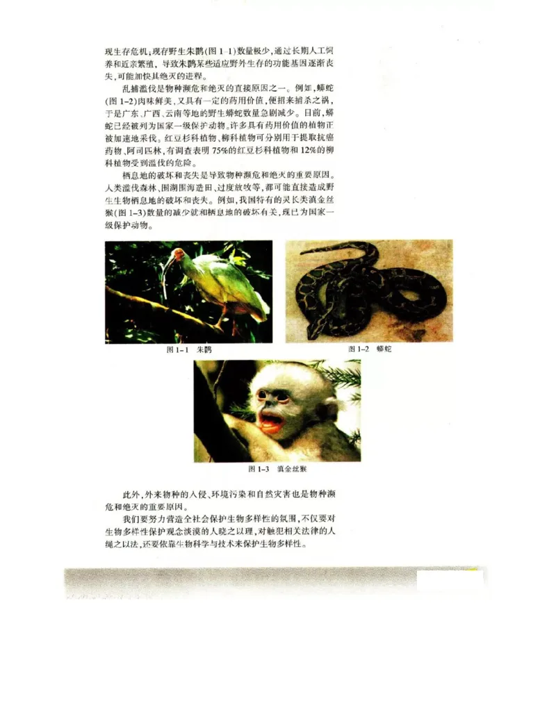 苏教版高中生物必修3《稳态与环境》电子课本_4-教培资料-26年最新资料-同步更新_初中高中教资_03科三专项（进去保存报考的学科即可）_112025高中科目（全）电子教材