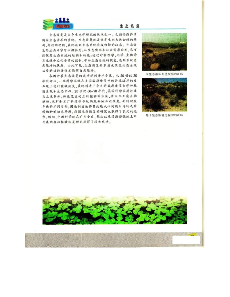 苏教版高中生物必修3《稳态与环境》电子课本_4-教培资料-26年最新资料-同步更新_初中高中教资_03科三专项（进去保存报考的学科即可）_112025高中科目（全）电子教材