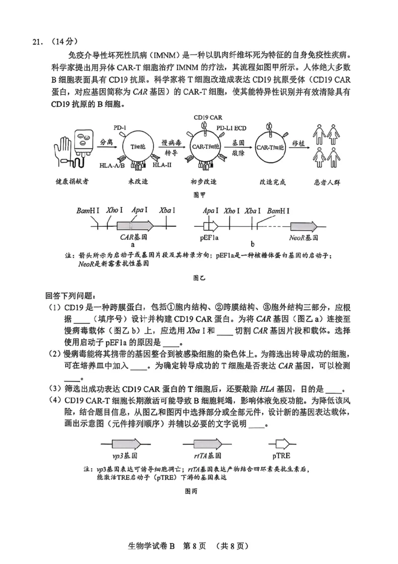 生物卷-2512广州零模_2025年12月_251225广东省广州市2026届高三年级上学期12月调研测试（广州零模）（全科）