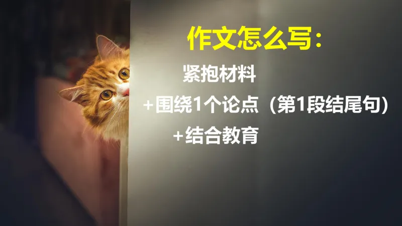 科一作文审题_4-教培资料-26年最新资料-同步更新_幼儿教资_幼儿冲刺急救包_5.L姨冲刺70分[急救班]_幼儿冲刺抢分课（25下急救班）_科一_配套讲义