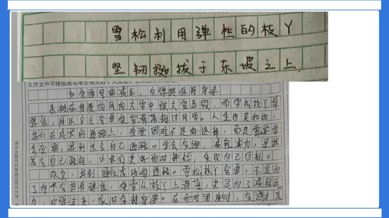 科一作文审题_4-教培资料-26年最新资料-同步更新_幼儿教资_幼儿冲刺急救包_5.L姨冲刺70分[急救班]_幼儿冲刺抢分课（25下急救班）_科一_配套讲义