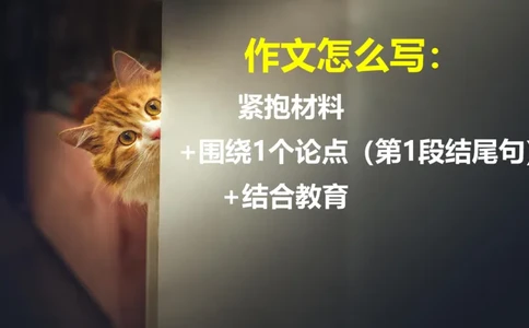 科一作文审题_4-教培资料-26年最新资料-同步更新_幼儿教资_幼儿冲刺急救包_5.L姨冲刺70分[急救班]_幼儿冲刺抢分课（25下急救班）_科一_配套讲义