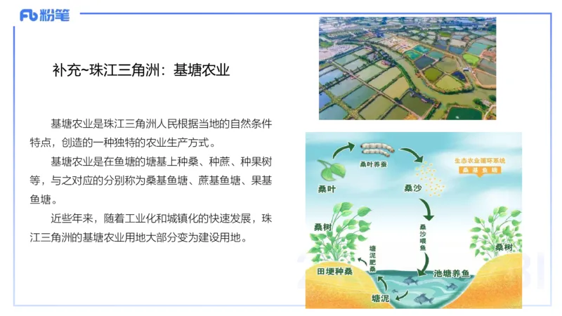 理论精讲17-区域地理4智伟_4-教培资料-26年最新资料-同步更新_初中高中教资_03科三专项（进去保存报考的学科即可）_01科目三FB网课、三色速记手册、知识点导图等推荐_初中