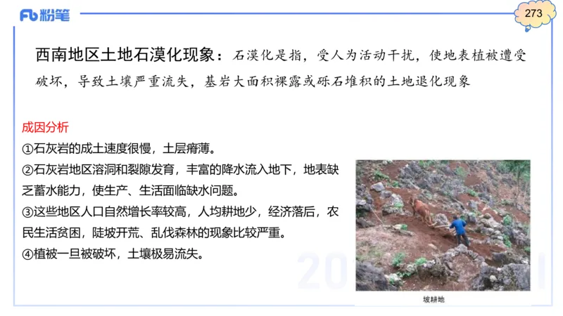 理论精讲17-区域地理4智伟_4-教培资料-26年最新资料-同步更新_初中高中教资_03科三专项（进去保存报考的学科即可）_01科目三FB网课、三色速记手册、知识点导图等推荐_初中