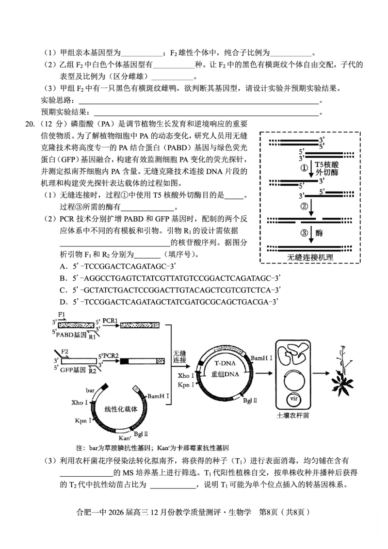 生物试题_2025年12月_251212安徽合肥一中2026届高三12月份教学质量测评（全科）_合肥一中12月份教学质量测评生物