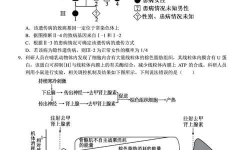 生物试题_2025年12月_251212安徽合肥一中2026届高三12月份教学质量测评（全科）_合肥一中12月份教学质量测评生物
