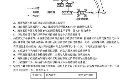 生物试题_2025年12月_251212安徽合肥一中2026届高三12月份教学质量测评（全科）_合肥一中12月份教学质量测评生物