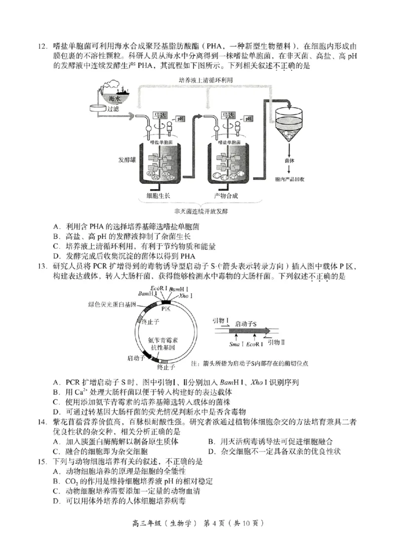 海淀区2023-2024学年第一学期期末-生物_2024届北京海淀区第一学期期末考试