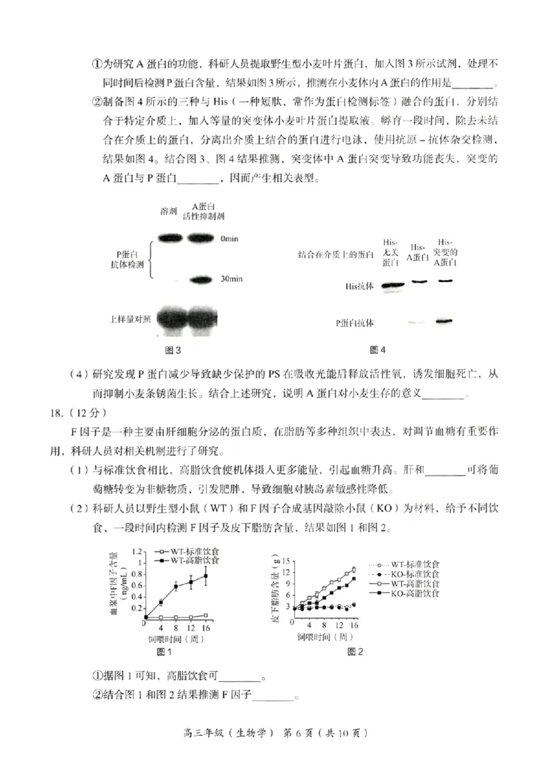 海淀区2023-2024学年第一学期期末-生物_2024届北京海淀区第一学期期末考试
