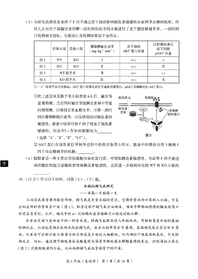 海淀区2023-2024学年第一学期期末-生物_2024届北京海淀区第一学期期末考试
