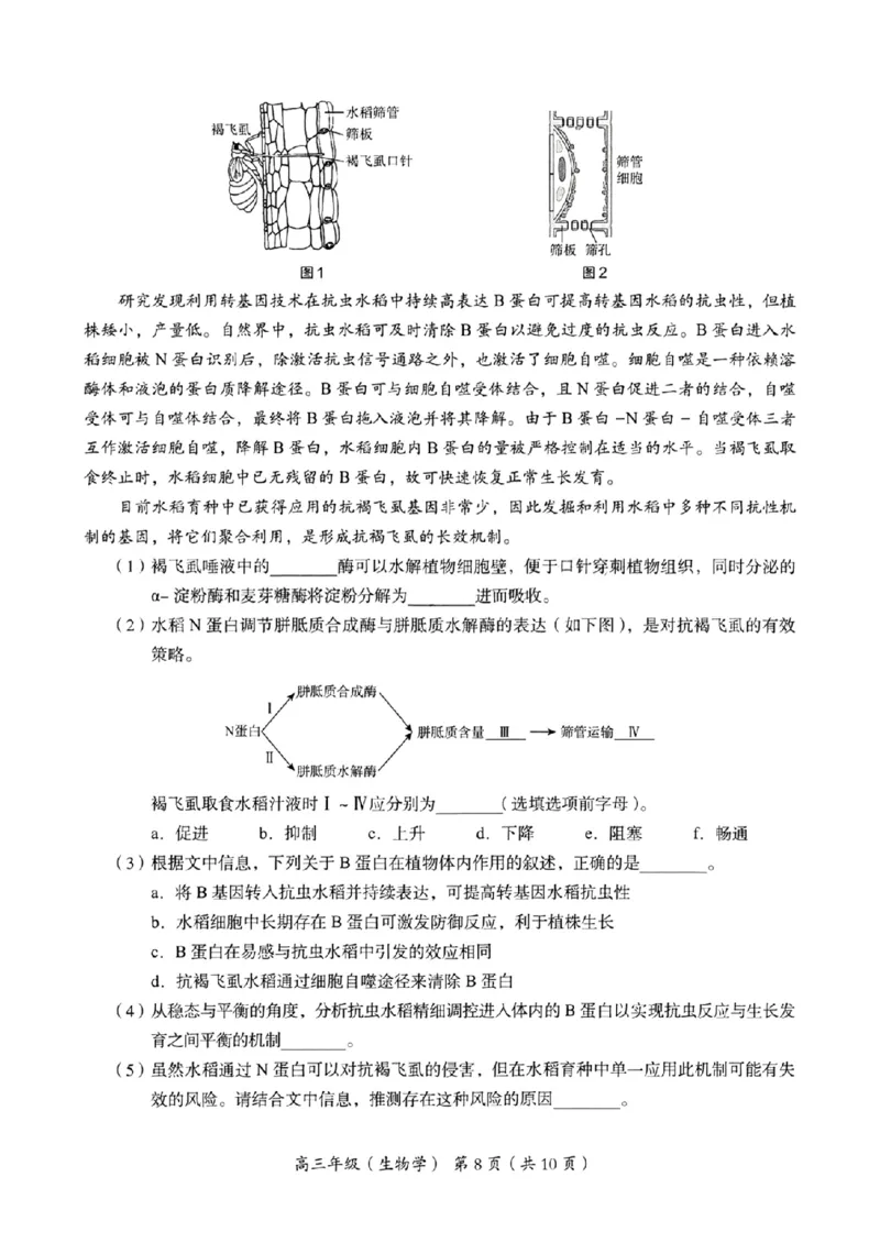 海淀区2023-2024学年第一学期期末-生物_2024届北京海淀区第一学期期末考试