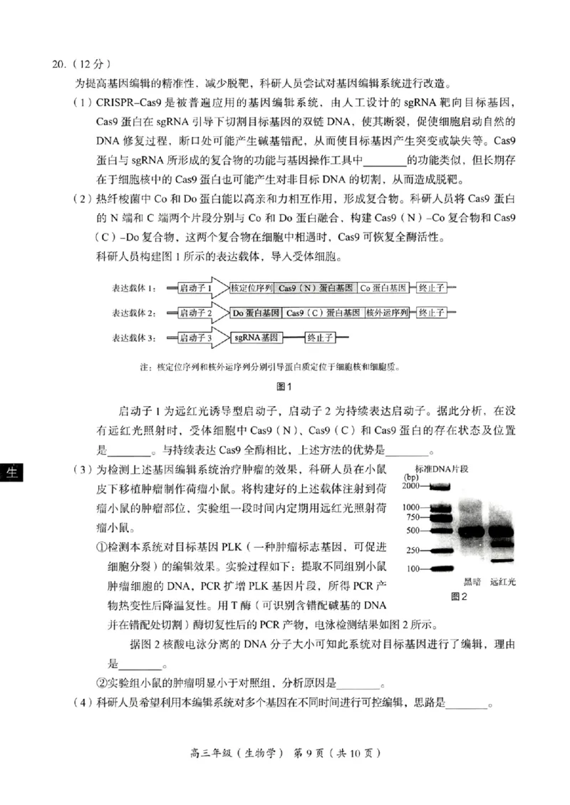 海淀区2023-2024学年第一学期期末-生物_2024届北京海淀区第一学期期末考试