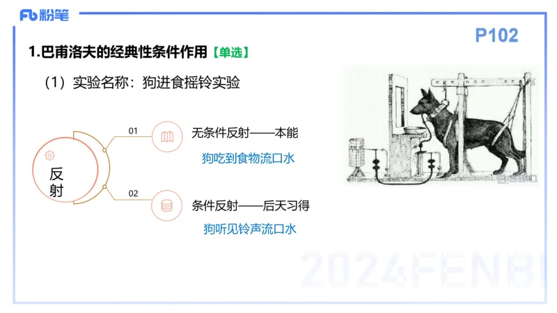 理论精讲11-教育教学知识与能力-李度_4-教培资料-26年最新资料-同步更新_小学教资_022025上FB小学系统班_0225上-教育知识与能力_2.理论精讲_讲义
